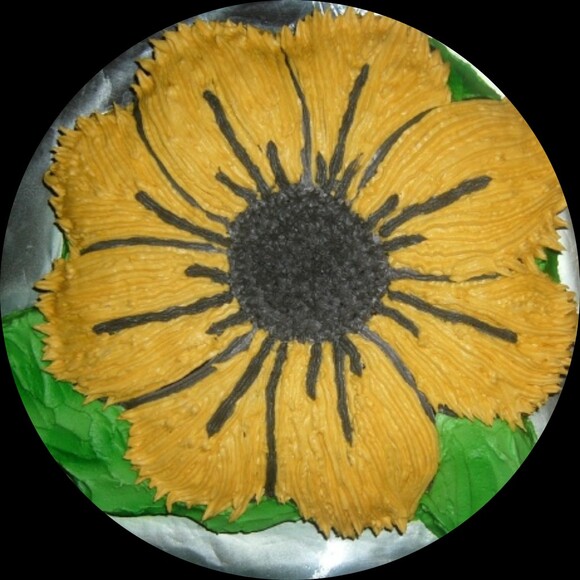 mosclosetsun